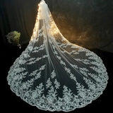 The Arosa Lace Veil