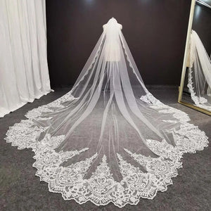 The Swan Lace Veil